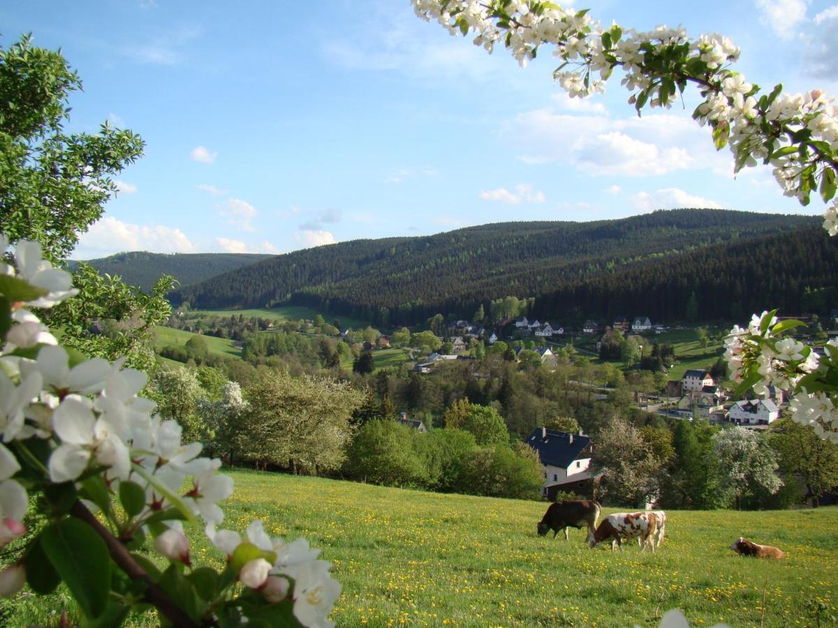 Ferienwohnung Lang Breitenbrunn  Exterior foto